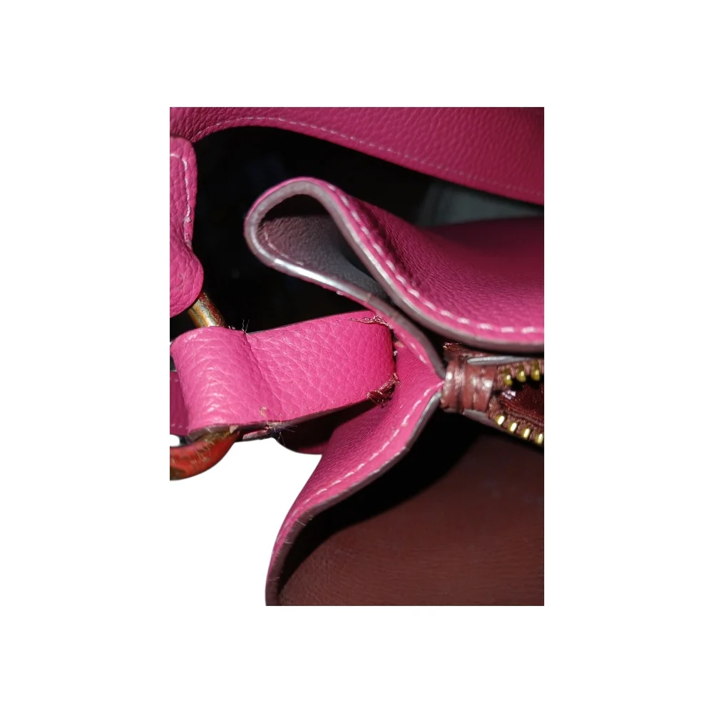 Coach Berry Mollie Bucket Crossbody Bag - Picture 6 of 8